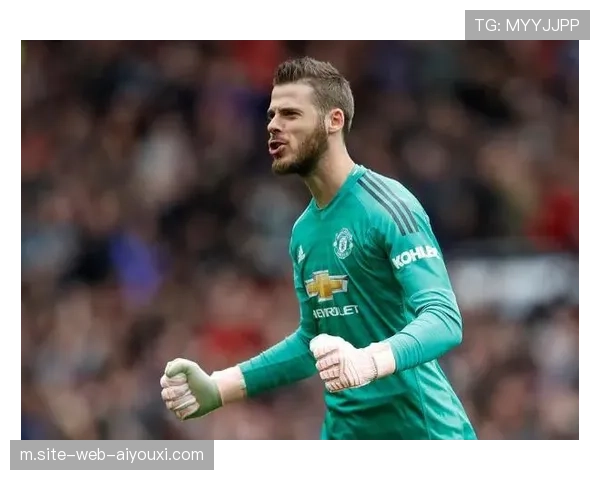 伯恩利冬窗仅租借沃德普劳斯 薪资总额4020万英镑保级压力巨大